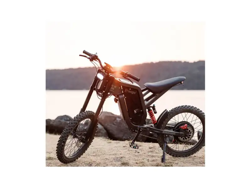 Freego X2 Dirt