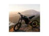Freego X2 Dirt