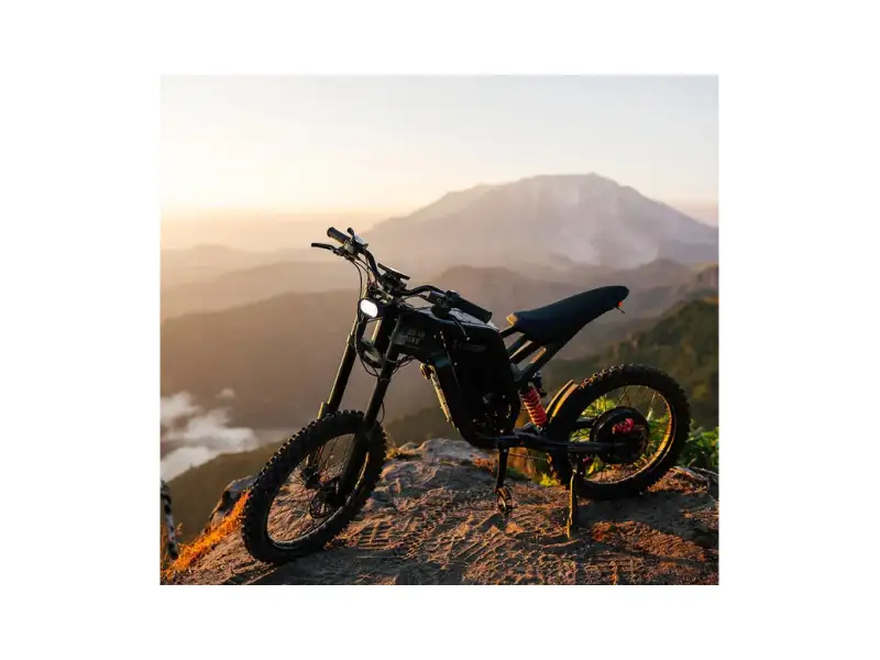 Freego X2 Dirt