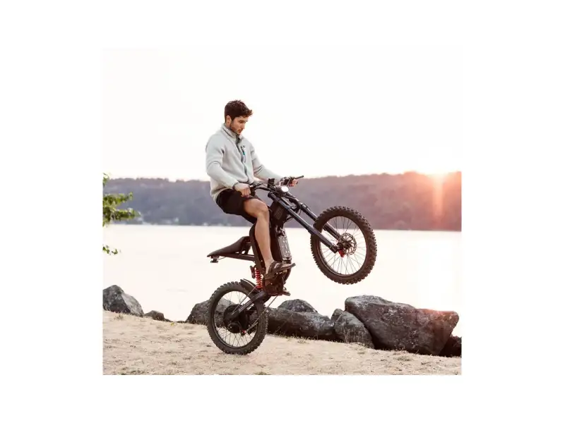 Freego X2 Dirt