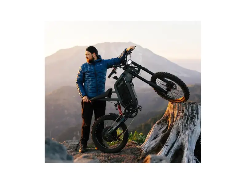 Freego X2 Dirt