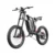Freego X2 Dirt