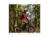 Freego X2 Pro