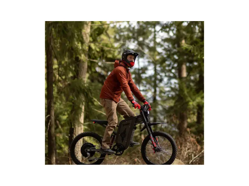 Freego X2 Pro
