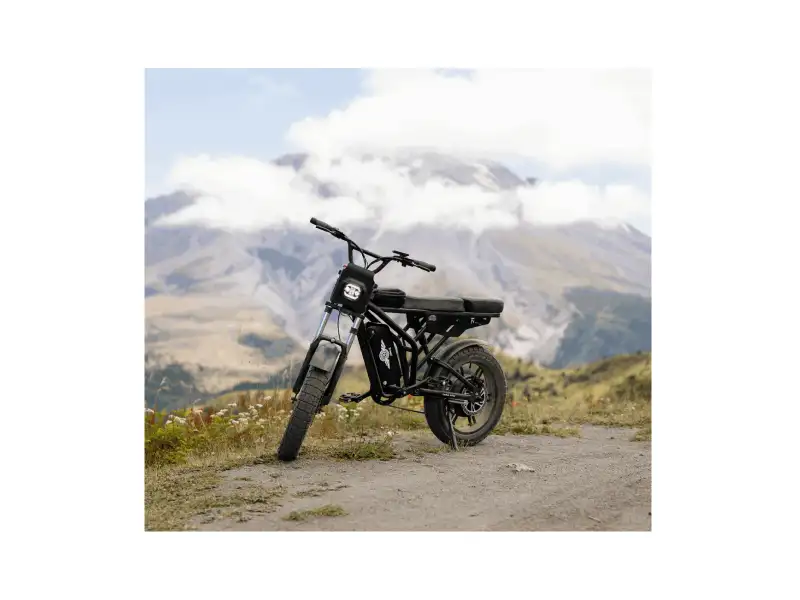 Shotgun F2 eBike | Freego