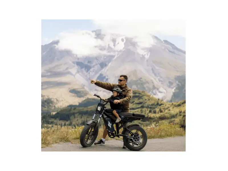 Shotgun F2 eBike | Freego