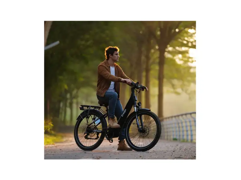 city ebike freego