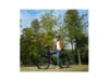 city ebike freego