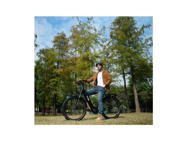 city ebike freego