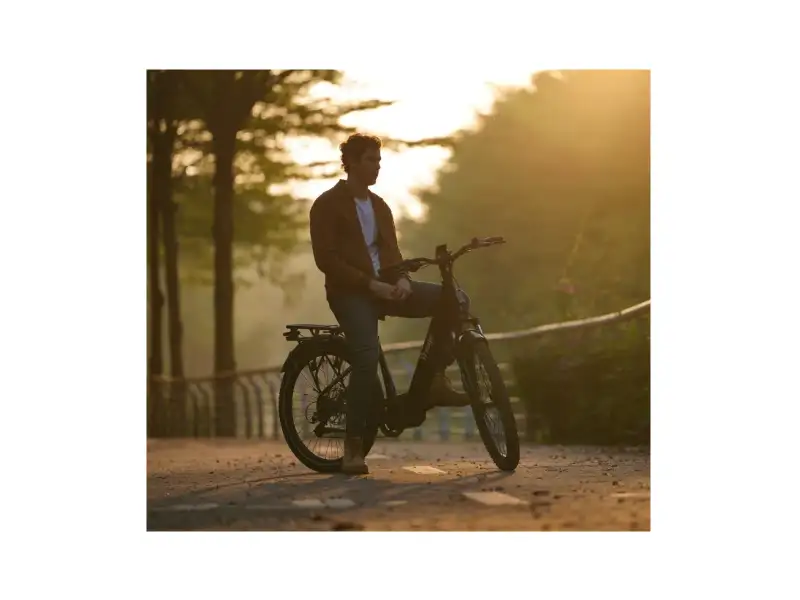 city ebike freego