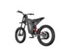 Freego X1 SE Class 2 All-Terrain Electric Bike