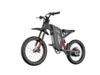 Freego X1 SE Class 2 All-Terrain Electric Bike