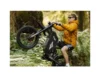 Freego X1 SE Class 2 All-Terrain Electric Bike