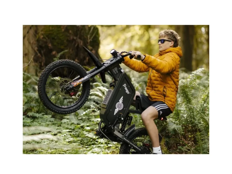 Freego X1 SE Class 2 All-Terrain Electric Bike