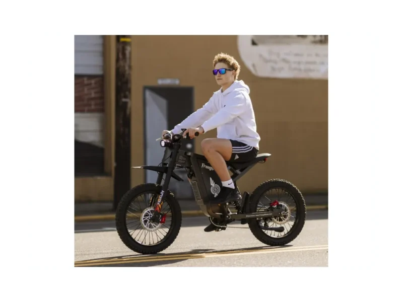Freego X1 SE Class 2 All-Terrain Electric Bike